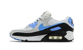 Air Max 90 Wmns"Royal Pulse" DH8010 106