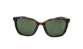 Sentiment Sunglasses "Dark Tortoise Green" CT7886 220