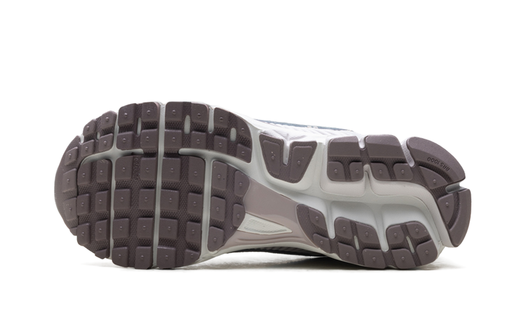 Zoom Vomero 5 WMNS"Platinum Violet" HV6417 001