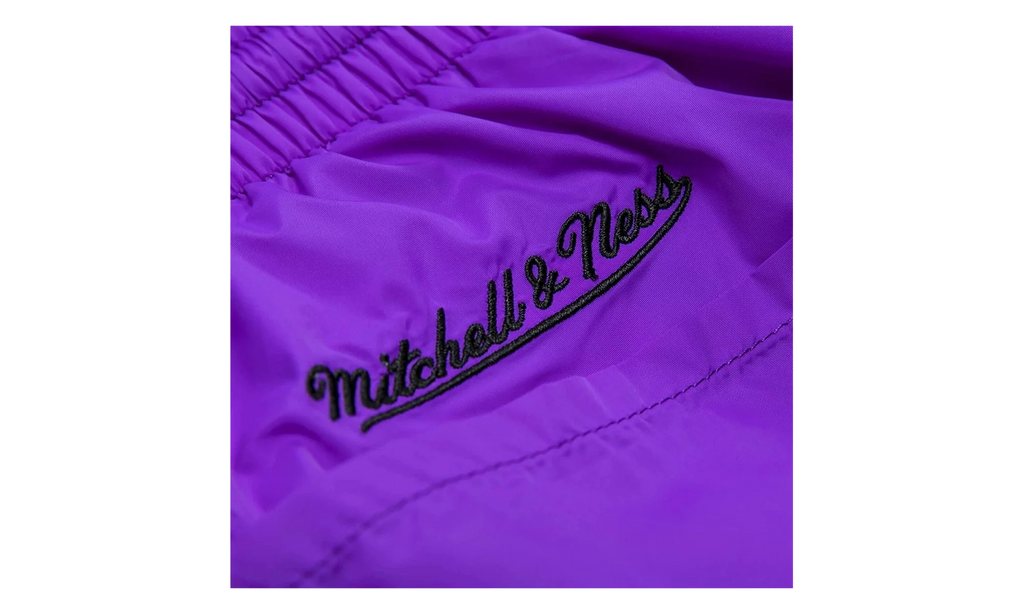 NBA Striped Short "Toronto Raptors - Purple" SHORBW19051 TRAPTPR