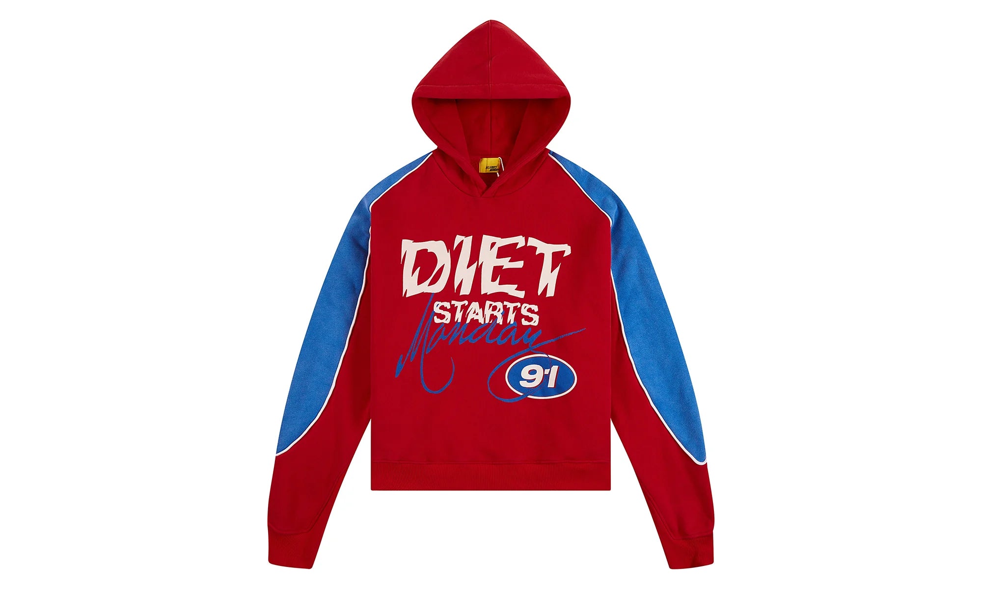 Panel Hoodie "Red" DSM HOL2502 205
