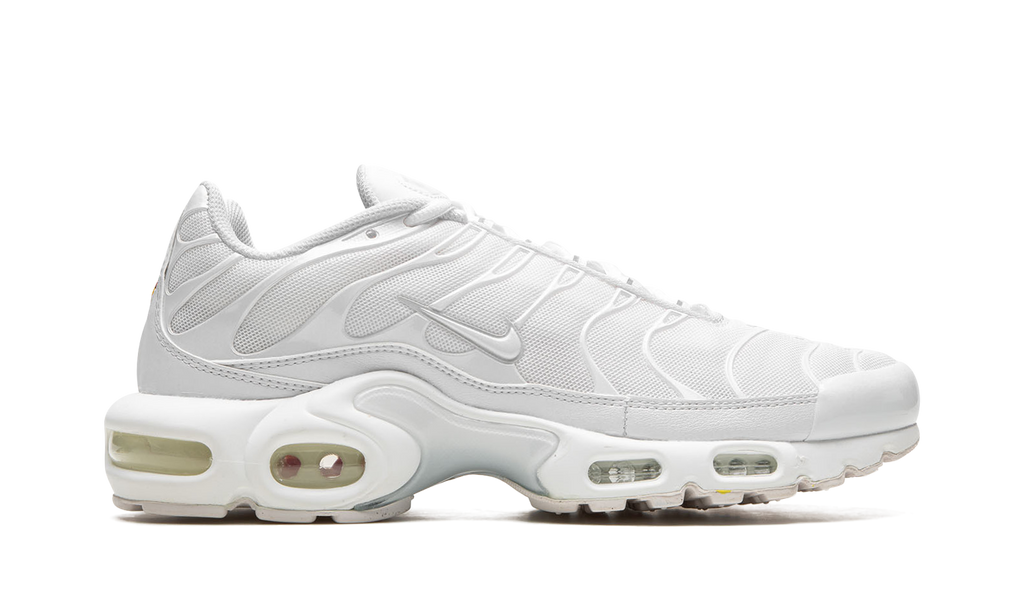 AIR MAX PLUS WMNS"Pure Platinum" DM2362 100