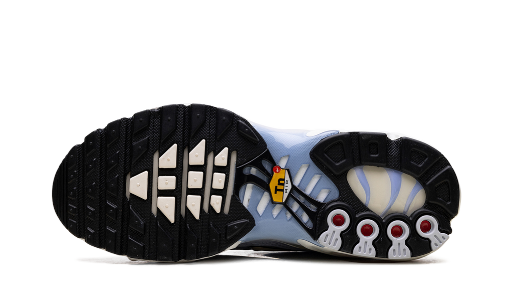 Air Max Plus WMNS"Daybreak" DZ3670 004