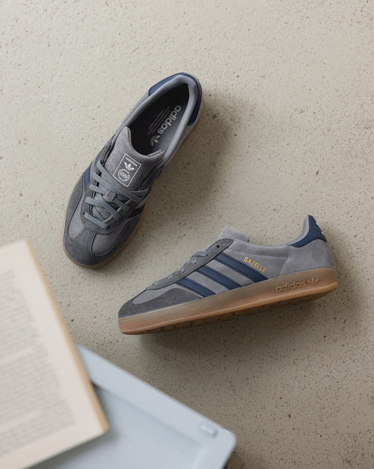 Gazelle Indoor