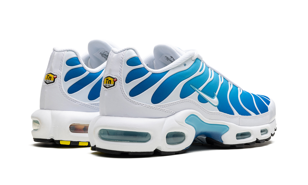 Air Max Plus "Blue Gaze" 852630 411