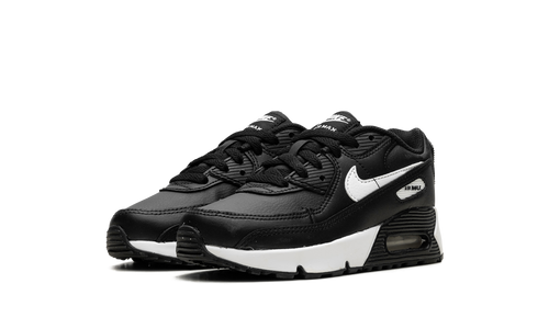 Air Max 90 "Black White" CD6867 010