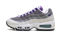 Air Max 95 WMNS"Grape" HJ5996 100
