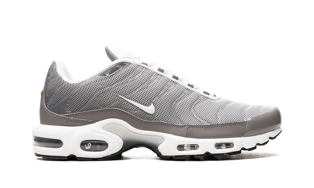 Air Max Plus SE "Flat Pewter" DV7665 002