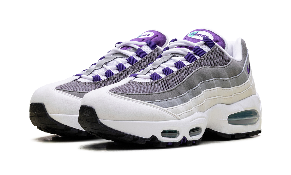 Air Max 95 WMNS"Grape" HJ5996 100