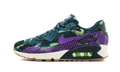 OMENS AIR MAX 90 WMNS 807298 300