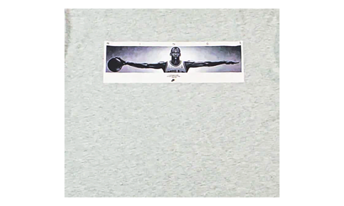 Wingspan Photo T-Shirt "Grey" IF5617 050