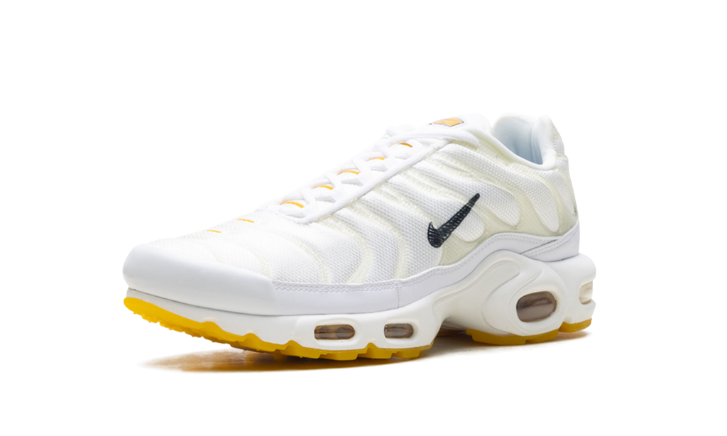 Air Max Plus "Marion Frank Rudy" DQ8960 100