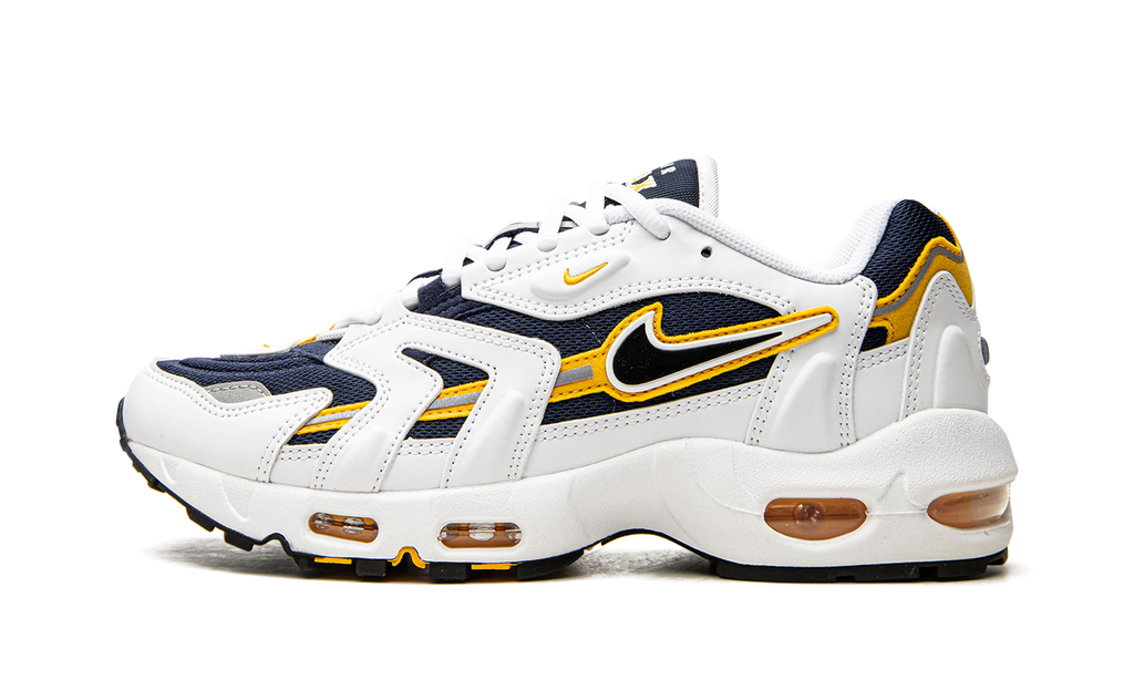 Air Max 96 2 "Goldenrod" CZ1921 100