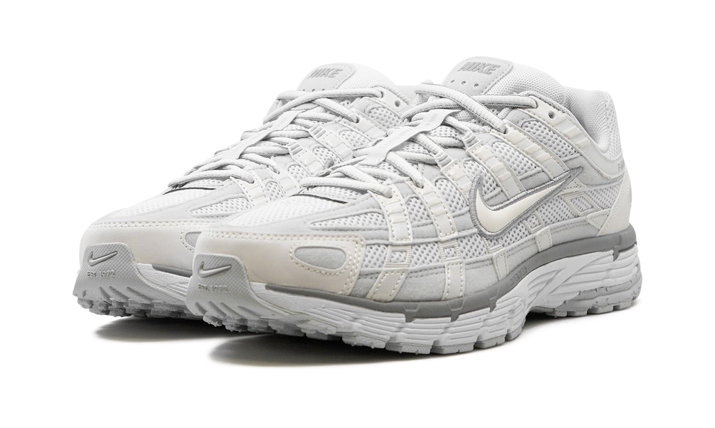 P-6000 WMNS"Summit White Pure Platinum" FV6603 101