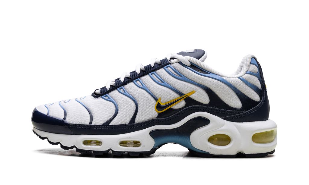 Air Max Plus CT1094 100