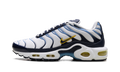 Air Max Plus CT1094 100