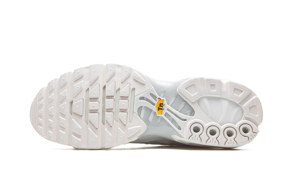 AIR MAX PLUS WMNS"Pure Platinum" DM2362 100