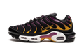 Air Max Plus DX2663 001