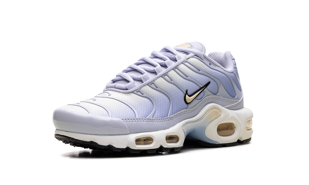 Air Max Plus WMNS"Daybreak" DZ3670 004