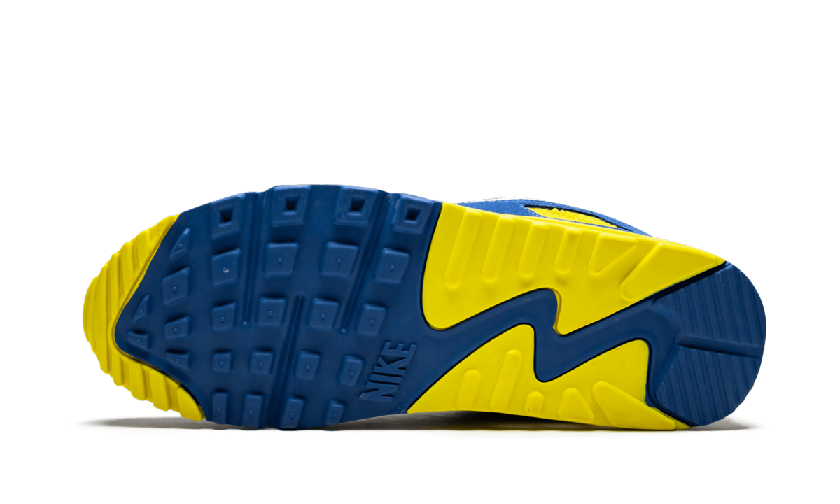 Air Max 90 QS "VIOTECH 2.0" CD0917 300