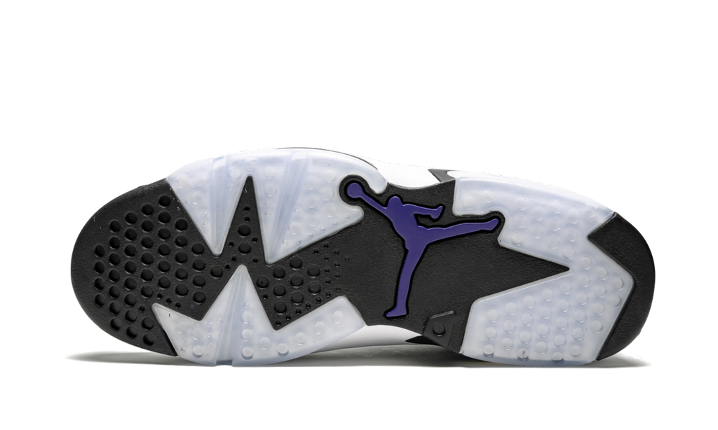 Retro 6 "Flint Grey" CI3125 100