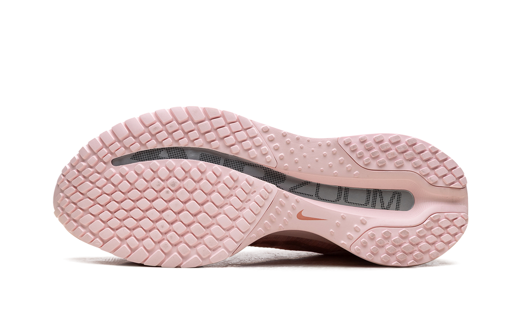 Pegasus Premium WMNS"Atmosphere" HQ2593 601