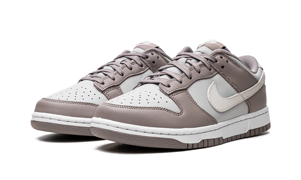 DUNK LOW WMNS"Moon Fossil" FD0792 001