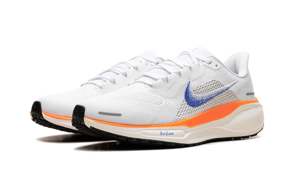 Air Zoom Pegasus 41 FP WMNS"Blueprint Pack" HF7362 900