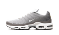 Air Max Plus SE "Flat Pewter" DV7665 002