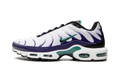 Air Max Plus "Grape" DM0032 100