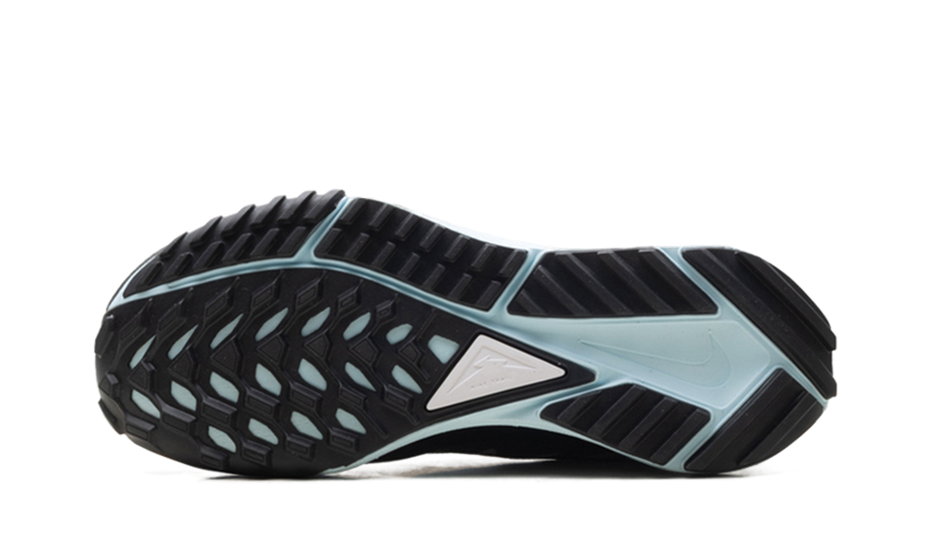 React Pegasus Trail 4 Gore-Tex WMNS"Light Smoke Grey Glacier Blue Football Grey Black" DJ7929 005
