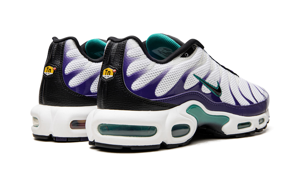 Air Max Plus "Grape" DM0032 100