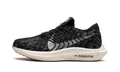 PEGASUS TURBO NEXT NATURE WMNS"Black Sail" DM3414 001