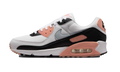 AIR MAX 90' WMNS"APRICOT AGATE (W)" DH8010 109