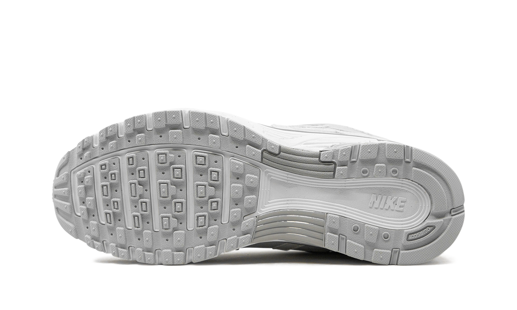 P-6000 WMNS"Summit White Pure Platinum" FV6603 101