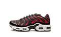 Air Max Plus GS CD0609 200