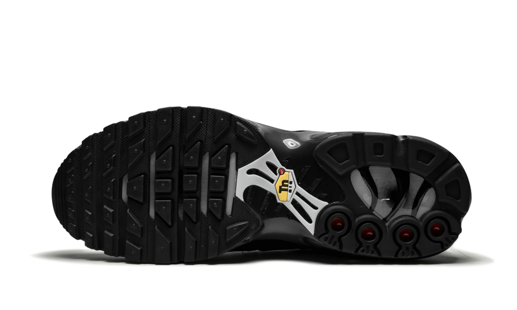 AIR MAX PLUS (GS) "AIR MAX PLUS (GS)" 655020 053