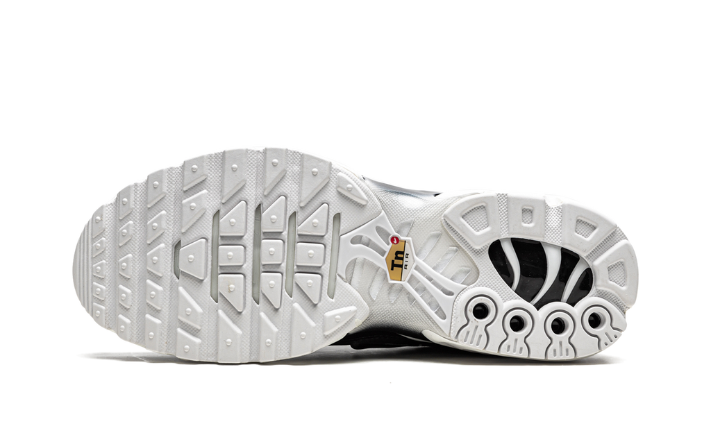 AIR MAX PLUS MNS WMNS"Black/ White" DM2362 001