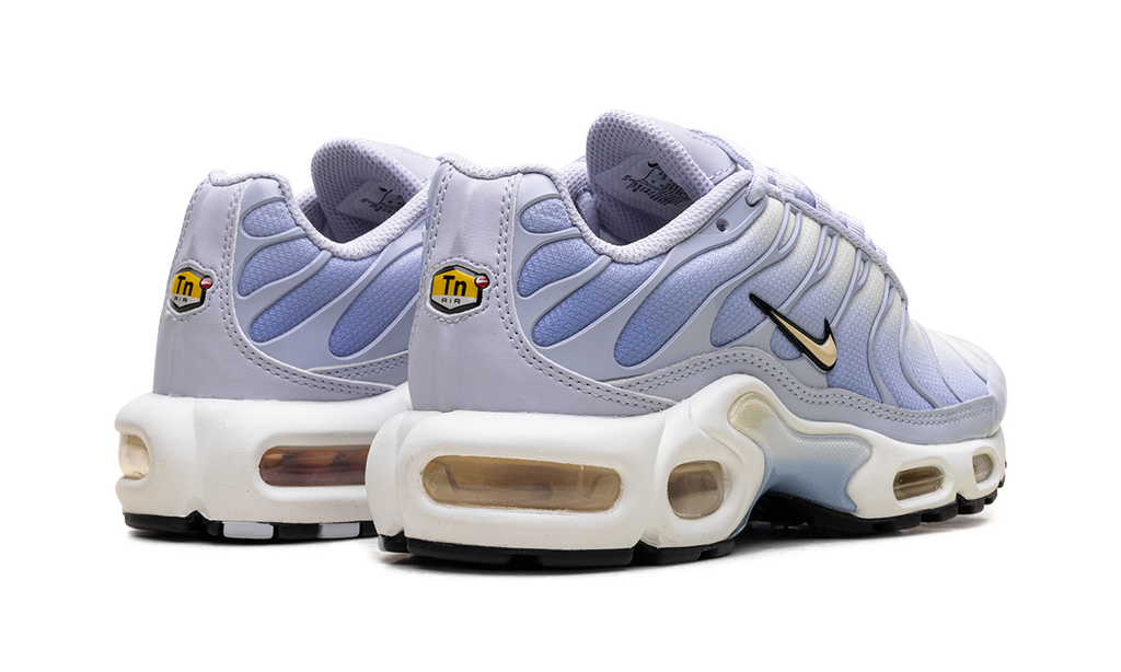 Air Max Plus WMNS"Daybreak" DZ3670 004