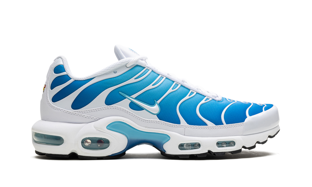 Air Max Plus "Blue Gaze" 852630 411